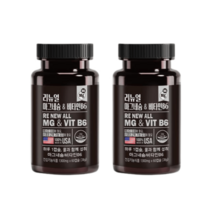 리뉴얼 비타민B6 마그네슘 미국산 1300mg 120캡슐 4개월 수험생 시니어, 리뉴얼 마그네슘 비타민B6 2통