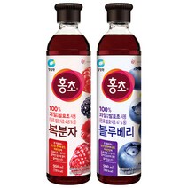 청정원 [청정원] 자연발효초 홍초 900ml 5종 2개 골라담기, 복분자 900ml + 블루베리 900ml