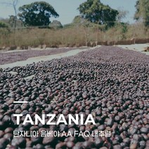 [생두] 탄자니아 음베야 AA FAQ 내추럴 10kg