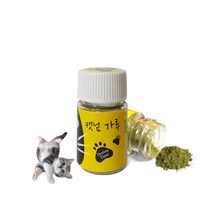 힐링타임 캣닢 가루 6g, 1, 1