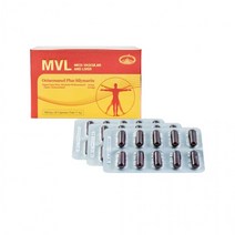 호주 네이쳐스탑 MVL 35000mg 옥타코사놀 플러스 실리마린 1개월분 밀크씨슬 엠브이엘 폴리코사놀 코스트코, 30캡슐(1개월분)