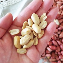 [산지직송] 좋은물과 흙이 만들어낸 땅콩! 23년 여주 햇 생땅콩 500g + 볶음땅콩500g, 1개