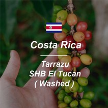 [커피생두] 코스타리카 SHB 따라주 엘투칸[El Tucan] 1kg