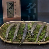 더덕 강원도 횡성 자연산 국내산 야생더덕 산더덕 깐더덕 더덕주 더덕요리 더덕구이 더덕장아찌 더덕무침 더덕차 생더덕 명절 선물세트 섬유질, 더덕세트(9~12뿌리) 1세트