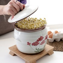황토 콩나물 시루 재배기 (중)