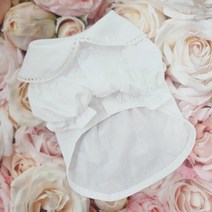 (맞춤제작)(진드기 해충방지)강아지옷 강아지블라우스 강아지프릴티셔츠 강아원피스, 화이트