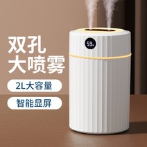 자연기화식가습기 가습기 대용량 2L 홈 음소거 침실 usb 임산부 아기 공기 정화 사무실 데스크탑 기숙사 학생 머리맡 미니 소형 휴대용 스프레이, [03] 디스플레이 버전 더블 스프레이 화이트 2L 대