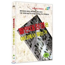 [DVD] OBS 특집 다큐멘터리 : 팔만대장경은 어디에서 왔는가(1disc)