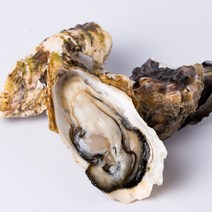 산지직송 최상급 통영굴 석화 생굴 각굴 반각굴 바위굴 석굴 깐굴 개체굴 벚굴 삼배체굴 세척 하프셀 하프쉘 굴 1kg 10kg 손질 횟감 용, 1.2 생굴 1kg