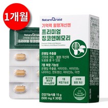 고함량 징코 프리미엄 손발저림 혈액순환제 은행잎추출물 함유, 1박스, 30정