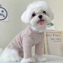 강아지 고양이 쫄쫄이 목폴라 티, 블루