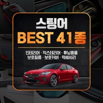 [골져스] 스팅어 튜닝 악세사리 DIY 몰딩용품 모음 41종, 34번.실리콘 선정리 클립-라이트레드