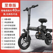 PAS전기자전거 전기팻바이크 전동자전거 배달전기자전거 전기로드자전거 접이식전기자전거 미니벨로 전기자전거, 48v, 0아, 1-Extreme Editionled 디지털 디스플레
