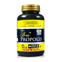 CODECO PROPOLIS 코데코 뉴트리션 비 프로폴리스 120일분 500mgx120캡슐 코데코 프로폴리스 면역력증진 비프로폴리스 코데코 비 프로폴리스 프로폴리스캡슐