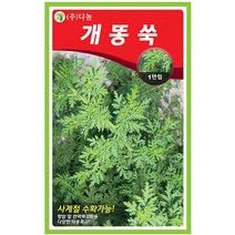 다농 잔대 1g - 씨 씨앗 잔대씨앗 잔대씨 딱주 사삼 나물씨앗 민속채소 채소씨 채소씨앗 딱주씨앗 딱주씨, 14_다농_개똥쑥(1만립)