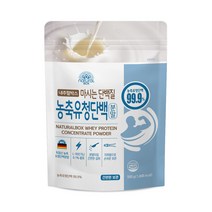 내추럴박스 _ 농축 유청 단백질 분말 500g 1개 독일산 WPC 헬스보충