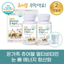 한미 양행 츄어블 종합 영양제 비타민 A B C D 무기질 베타카로틴 아연 망간 셀렌 판토텐산 패밀리 어린이 초등 학생 주니어 청소년 중 고등 학생 성장기 성인 여자 남자 영양제, 2박스