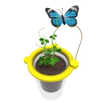 유아 셀프 씨앗키우기 과학놀이키트 교실꾸미기 학습용 발달장난감 북유럽데코 홈스쿨