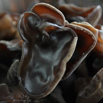 국산 생 목이버섯 1kg, 1박스