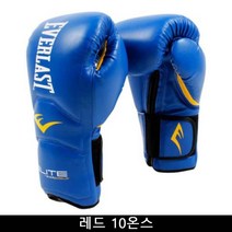 에버라스트 에버라스트 트레이닝 글러브 레드 10온스