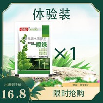 대나무 비료 부활 x 화분 영양액 응급잎 발황, T06-가루약 사용복 1자루