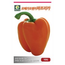 더존 복수박 씨앗 10립 - 수박씨 복수박씨 꿀수박 야채씨앗 채소씨앗 채소재배 종묘 종자 베란다 텃밭 씨 씨앗 오이 호박 방울토마토 참, 24_다농_오메가 오렌지파프리카(10립)