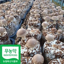 산지직송 국내산 무농약인증 생 표고버섯, 500g(중품), 1개