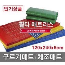 빅세일 [휠타매트리스] 120x240x6cm 구르기매트 체조매트 학교체육 유아체육 체육관매트 낙법 착지매트, 회색(Gray), 깔끔형