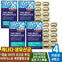 장운동촉진 프락토올리고당 장건강유산균 포스트바이오틱스 똥잘나오는유산균 장가스개선 변비에좋은 과민성대장 명품유산균 슈퍼유산균 프로바이오틱스유산균 속울렁거림개선 배에가스차는이유 프리바