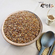 특품 2021년 국내산 가바현미 금탑 가바쌀, 국내산 가바현미10kg(5kgx2)