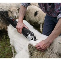 전동 양털 깎이 면도기 양모 가위 이발기 미용기 750W, 6단 속도 조절+곡선칼 9개