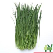 사라상회 부추 4Kg, 1개