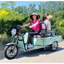 팜트럭 3륜 미니 출퇴근 경량 여성용 세발 스쿠터, 일반 모델 60V32AH 납산 배터리 + 충전기 60V