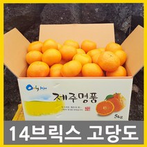 귤내음농장 고당도레드향 (선물용) (가정용) 2kg 3kg 5kg 다양하게 즐기세요 고당도레드향은역시 귤내음, 1개, 5.(가정용)레드향2kg 소과벌크
