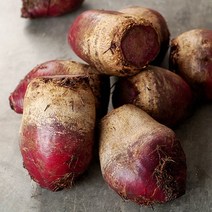 제주 레드비트 5kg, 1개