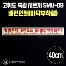 고휘도 축광시트지 배면인쇄(바닥부착형) 40cm 방화셔터 내려오는 곳 피난유도선 무광시트지, SMU-09(축광)