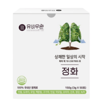 유비무환 정화 기관지 목 건강 폐에 좋은 음식 배 도라지 인삼 환 실속형 (50포), 정화 실속 패키치형 1BOX