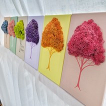 천연이끼 컬러나무액자 2호(18cmX26cm) 스칸디아모스 실내인테리어 특별한선물, 씨클라멘, 원하는 글귀 상담, 선물포장
