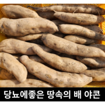 [국내산/국산] 달콤하고 시원한 생야콘 5kg 3kg 산지직송 생식용 토종야콘 햇야콘 햇 야콘5kg 생 야콘 야콘3kg 땅속의배 뿌리채소 땅속과일 레드야콘, 레드 야콘 중품 5kg