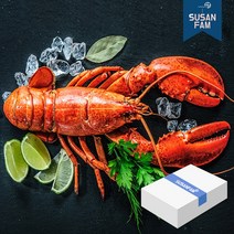 캐나다 프리미엄 자숙 랍스터 4.54kg 박스 바닷가재 랍스타 버터구이, 4.54kg 300-450사이즈 박스
