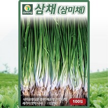 삼채 씨앗 삼채 씨 삼미채 종자 100립