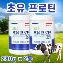 초유단백질 초유 프로틴 프로테인 동물성 식물성 단백질 우유맛 고칼슘 보충제 분리유 농축유청 단백 폴리덱스트로스 면역글로불린 lgG 280g, 2통