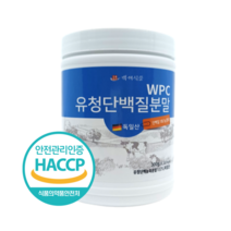 백세식품 WPC유청단백질분말100% 300g통 독일산 HACCP 인증제품, 3통, 300g