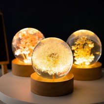 3D LED 민들레 무드등 크리스탈 수정구슬 너도밤나무 스탠드조명 플라워 꽃 선물, 6cm-Pink daisy