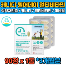 캐나다 3개월 멀티 종합 비타민 B1 B2 B6 B12 D E K 미네랄 비오틴 나이아신 베타카로틴 판토텐산 어르신 노인 여자 남자 여성 남성 출산후 임산부 수유부 영양제