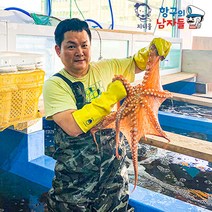 지니몰 자연산 신선한 활문어 문어 돌문어 자연산돌문어 1kg 항구, 1개