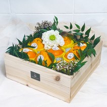 [1/20오전8시까지설당일배송] 파머스스토리 프리미엄 제주세트 한라봉+레드향 혼합바구니 특대, 없음