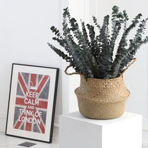 해초바구니 대 라탄 왕골 화분 커버 카페, 해초바구니(대), 1개