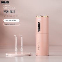 DFMEI 가정용 구강 치아 청소 충치기 잇몸 세척기 교정기 물치실 휴대용 전동 충치기, 핑크 더블 노즐 스탠다드 세트