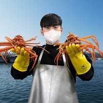 대게포크 증정 [오픈씨마켓] 선주직송 살이 꽉찬 100% 국산 포항 구룡포 자숙 대게 수율보장 (명품/박달), 국산 명품대게(특대) 9 - 9.9cm 3마리